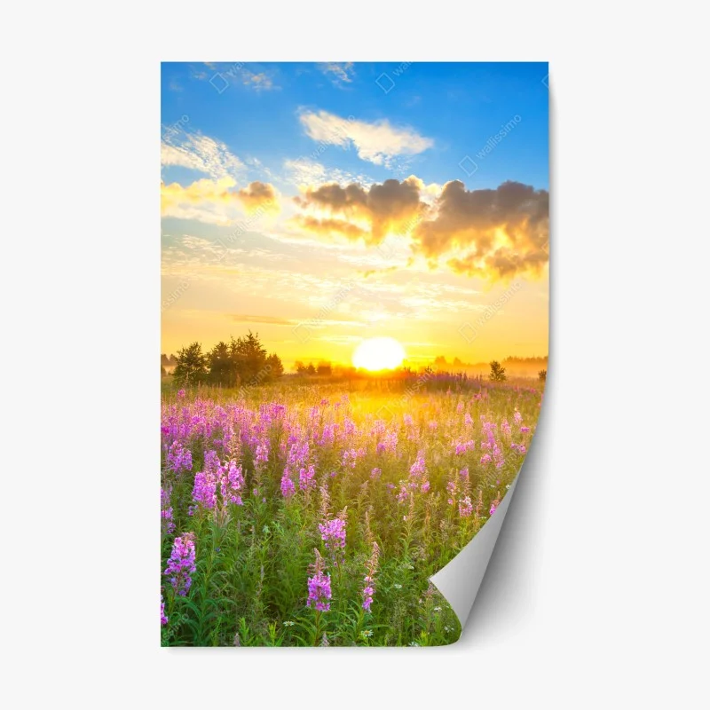 Orientalisch – Wallnifity®