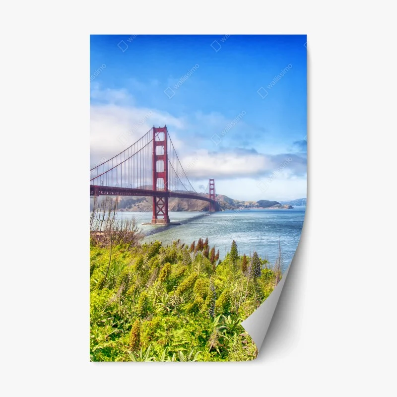 Urban Chic – Wallnifity®