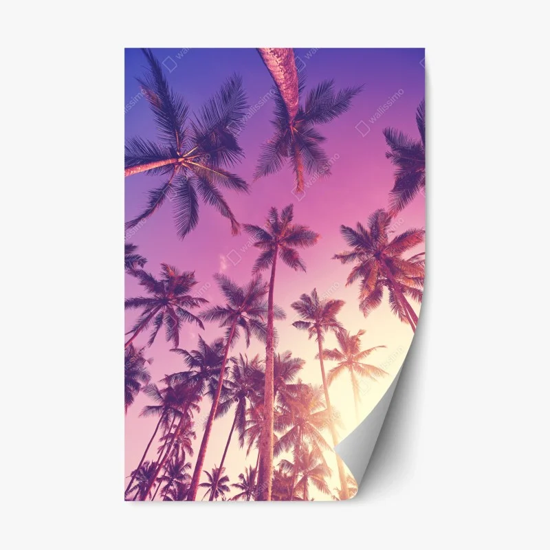 Boho – Wallnifity®