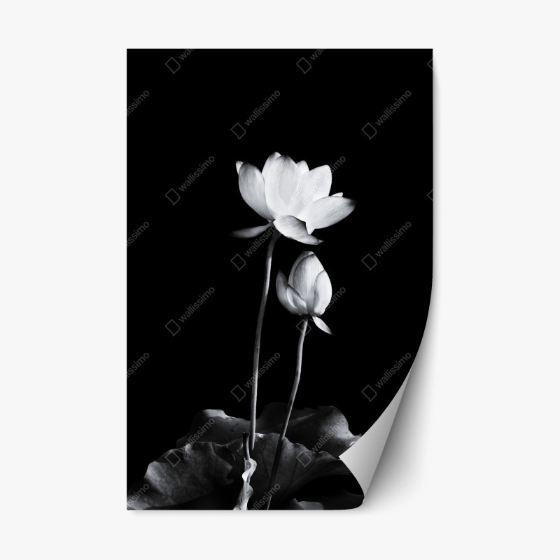 Blumen & Pflanzen – Wallnifity®