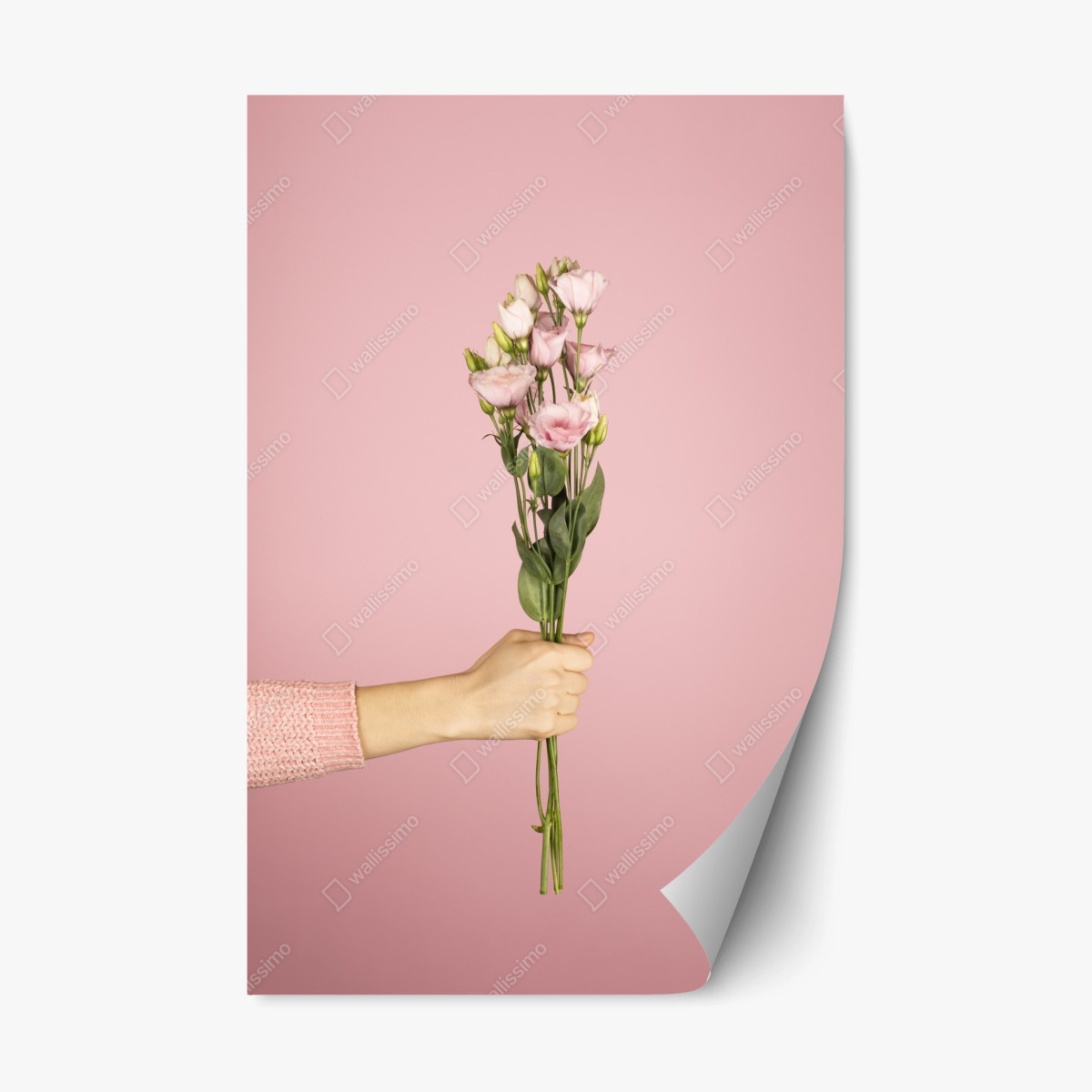 Repositionierbarer Aufkleber zarter rosa eustoma-strauß – Wallnifity®