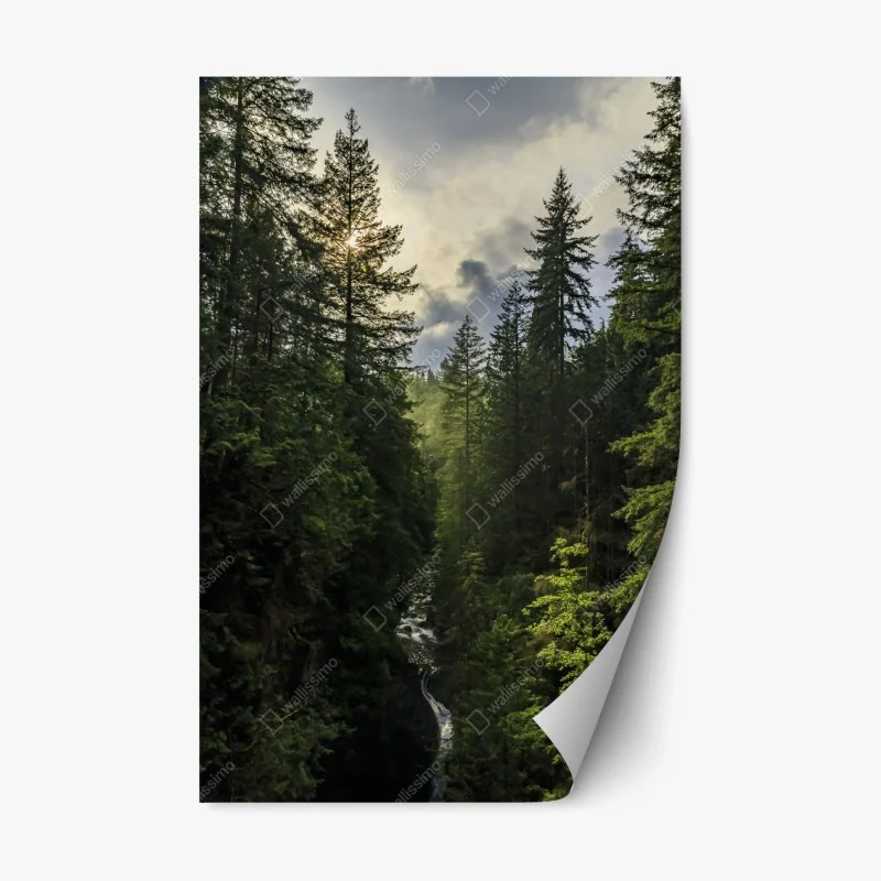 Repositionierbarer Aufkleber nebliger immergrüner wald mit wasserfall – Wallnifity® Repositionierbarer Aufkleber nebliger immergrüner wald mit wasserfall – Wallnifity®