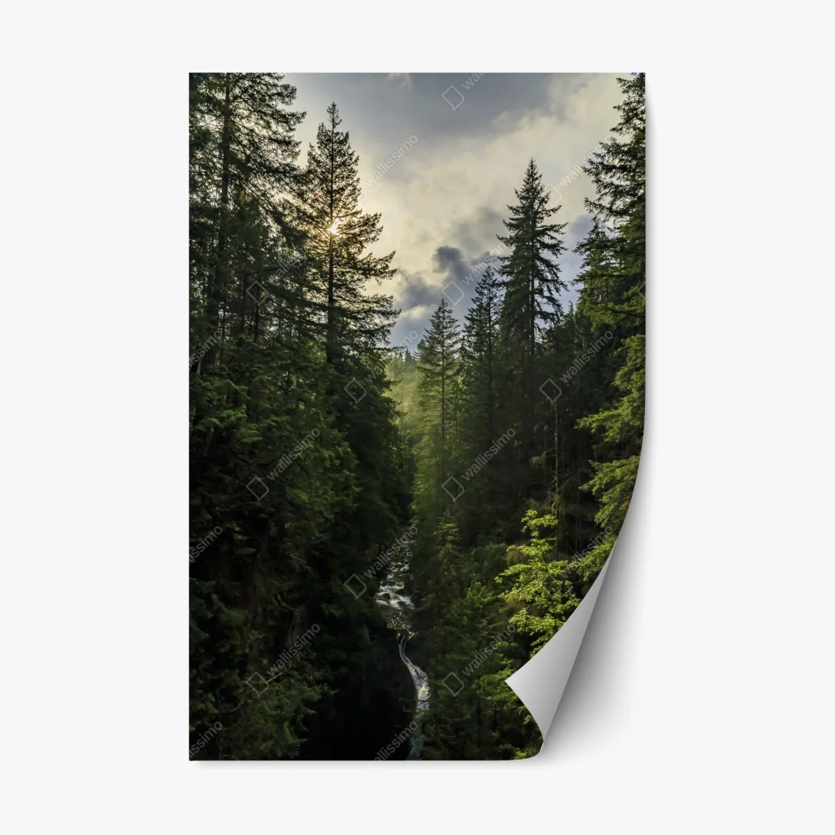 Repositionierbarer Aufkleber nebliger immergrüner wald mit wasserfall – Wallnifity® Repositionierbarer Aufkleber nebliger immergrüner wald mit wasserfall – Wallnifity®
