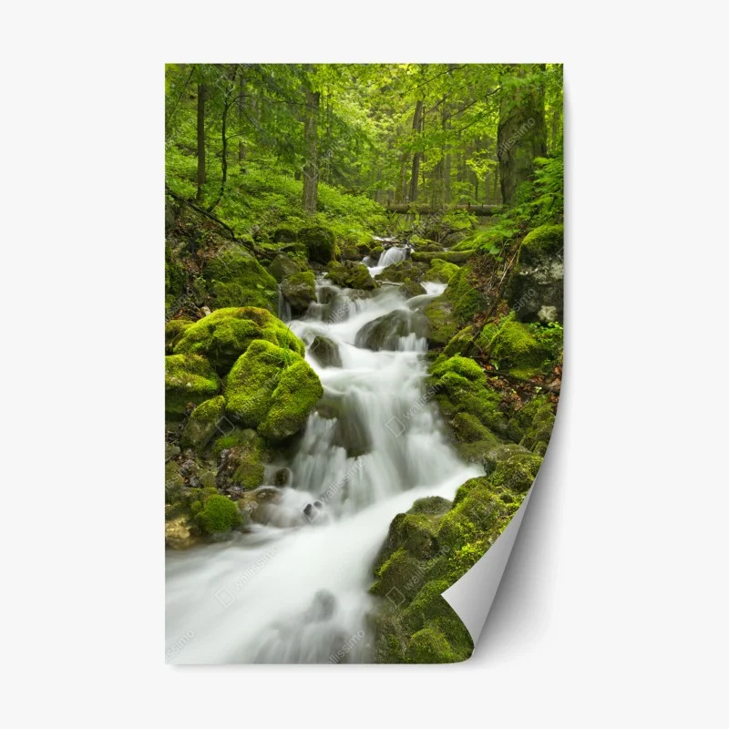 Verschiedenes – Wallnifity®