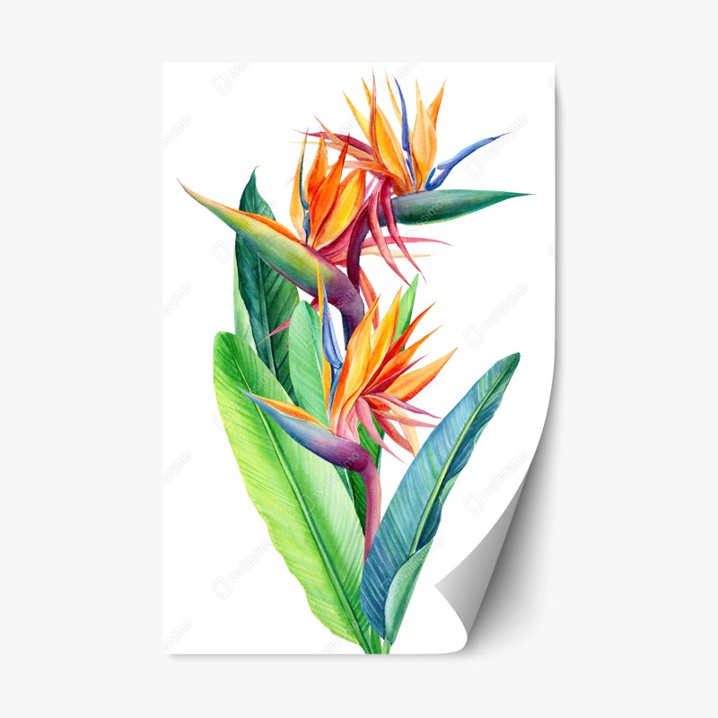 Blumen – Wallnifity®