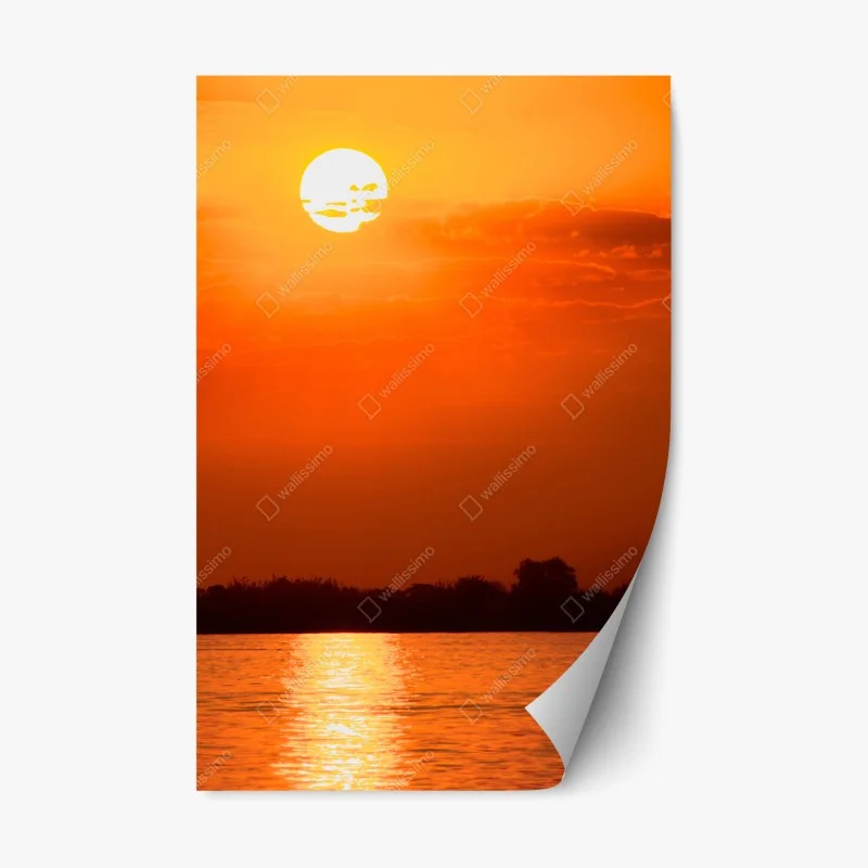 Repositionierbare Aufkleber – Wallnifity®