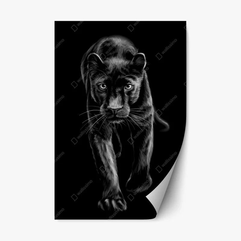 Repositionierbarer Aufkleber schreitender schwarzer panther illustration – Wallnifity®