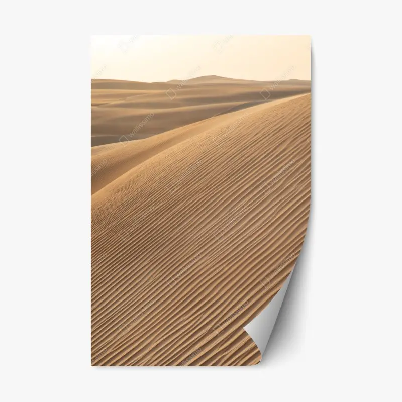 Wüste – Wallnifity®