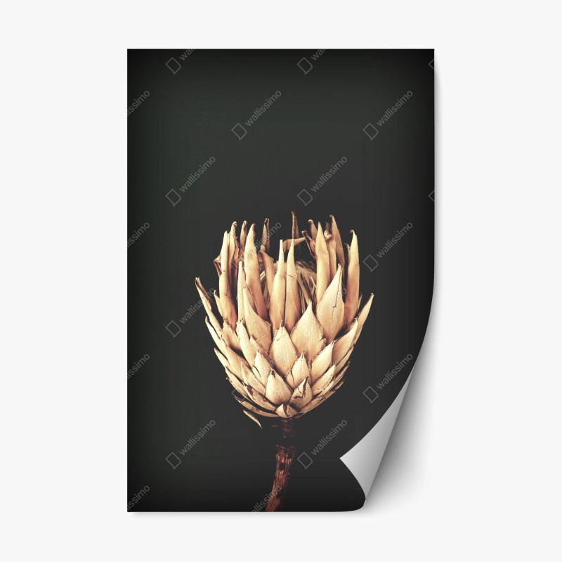 Blumen – Wallnifity®