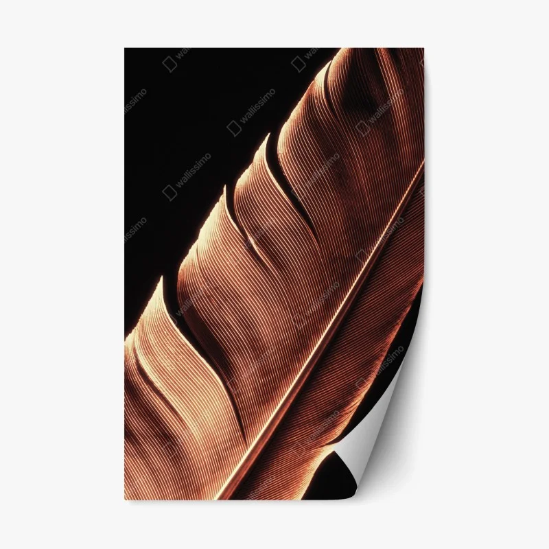 Tiere – Wallnifity®