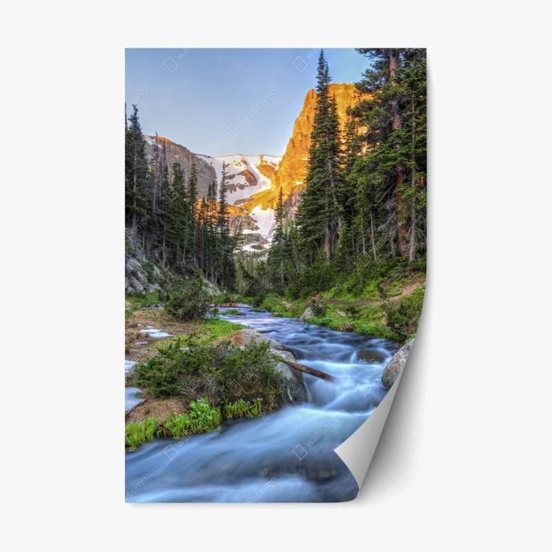 Natur – Wallnifity®