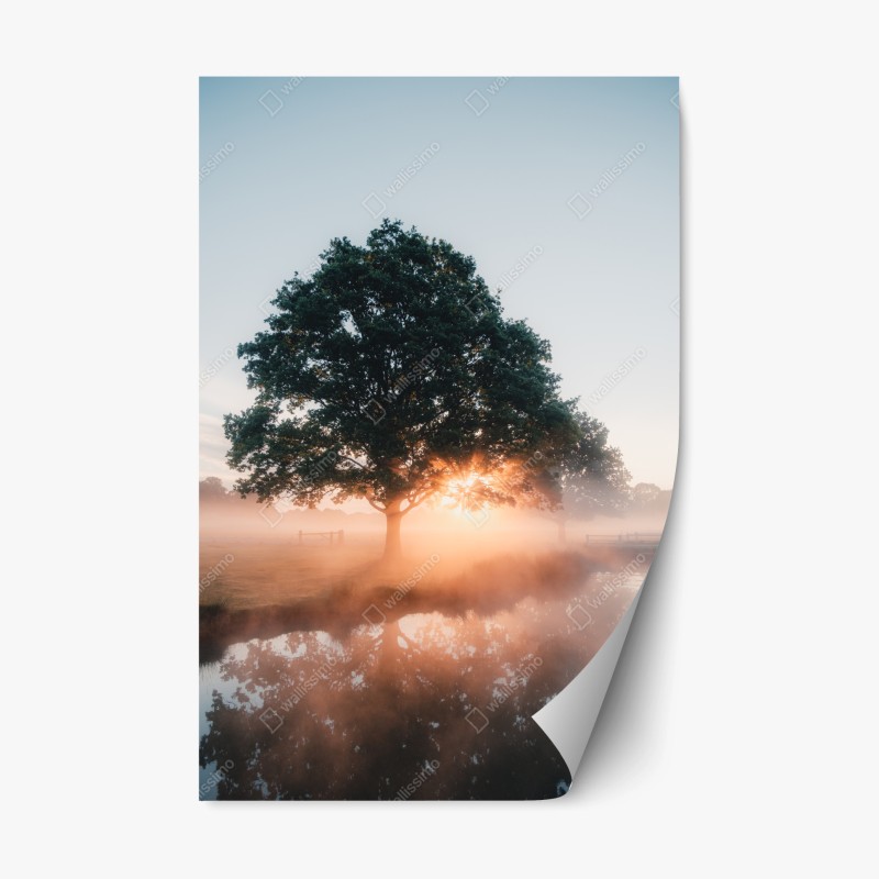 Aufkleber – Wallnifity®