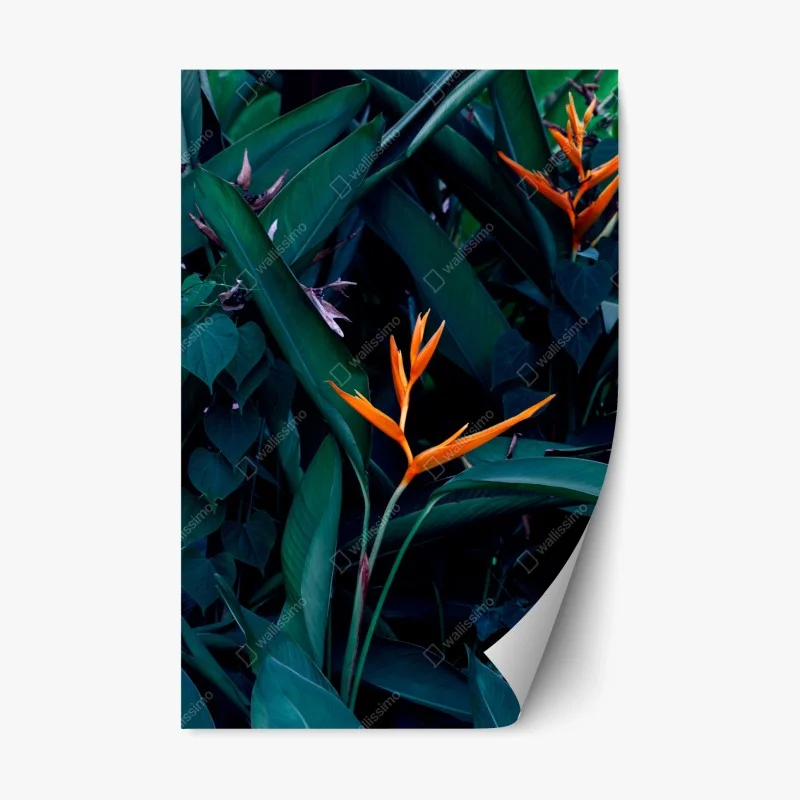 Karten – Wallnifity®