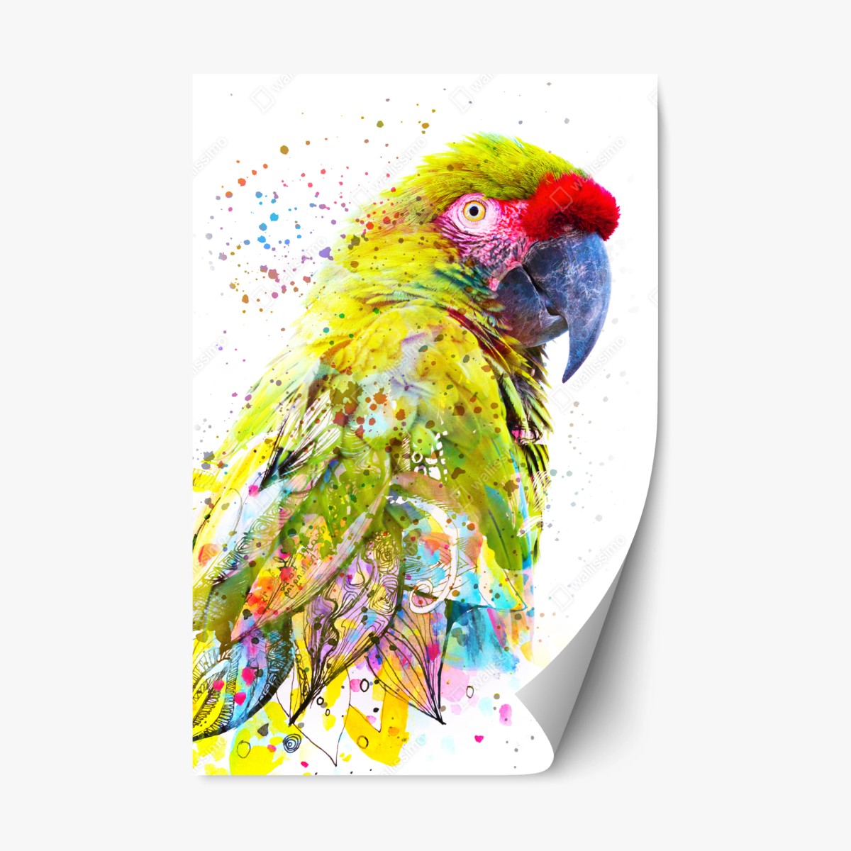 Repositionierbarer Aufkleber lebhaftes aquarell-porträt eines papageis – Wallnifity®