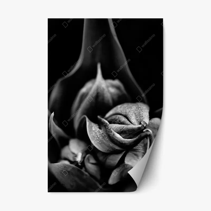Schlafzimmer – Wallnifity®