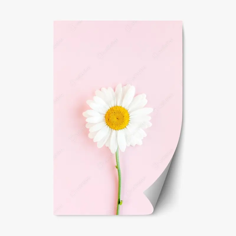 Schlafzimmer – Wallnifity®