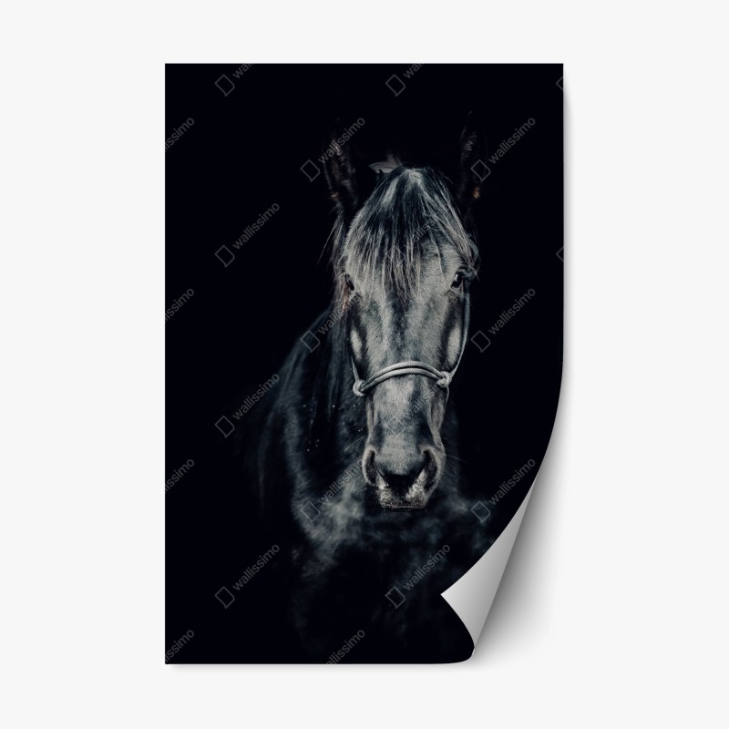 Tiere – Wallnifity®