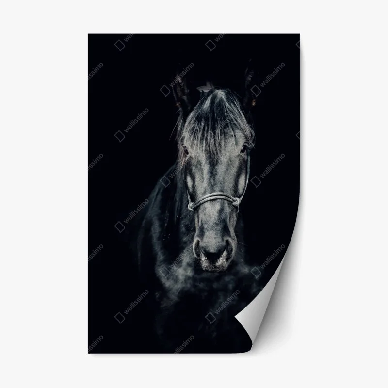 Rustikal – Wallnifity®