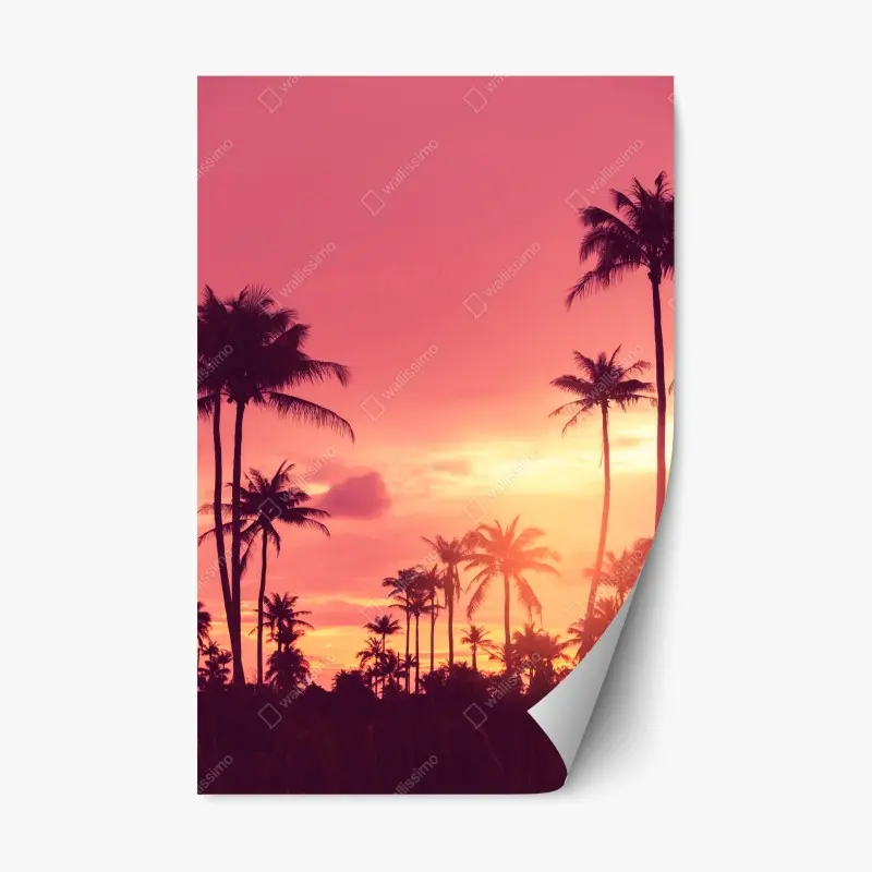 Strand – Wallnifity®