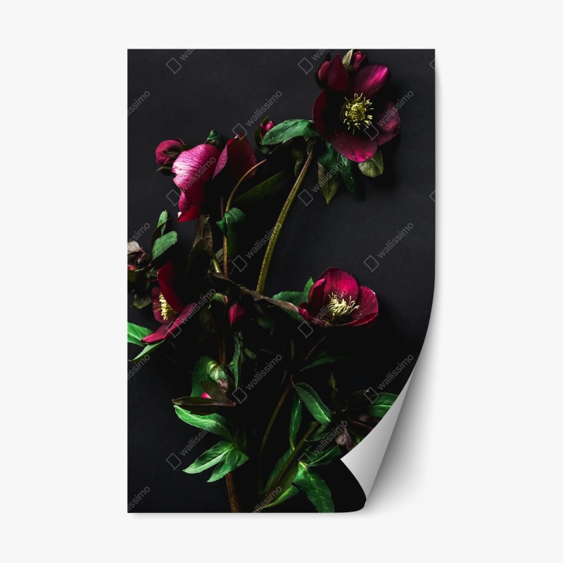 Aufkleber – Wallnifity®