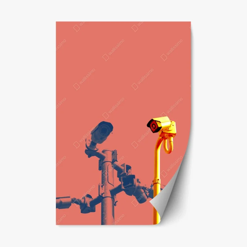 Urban Chic – Wallnifity®