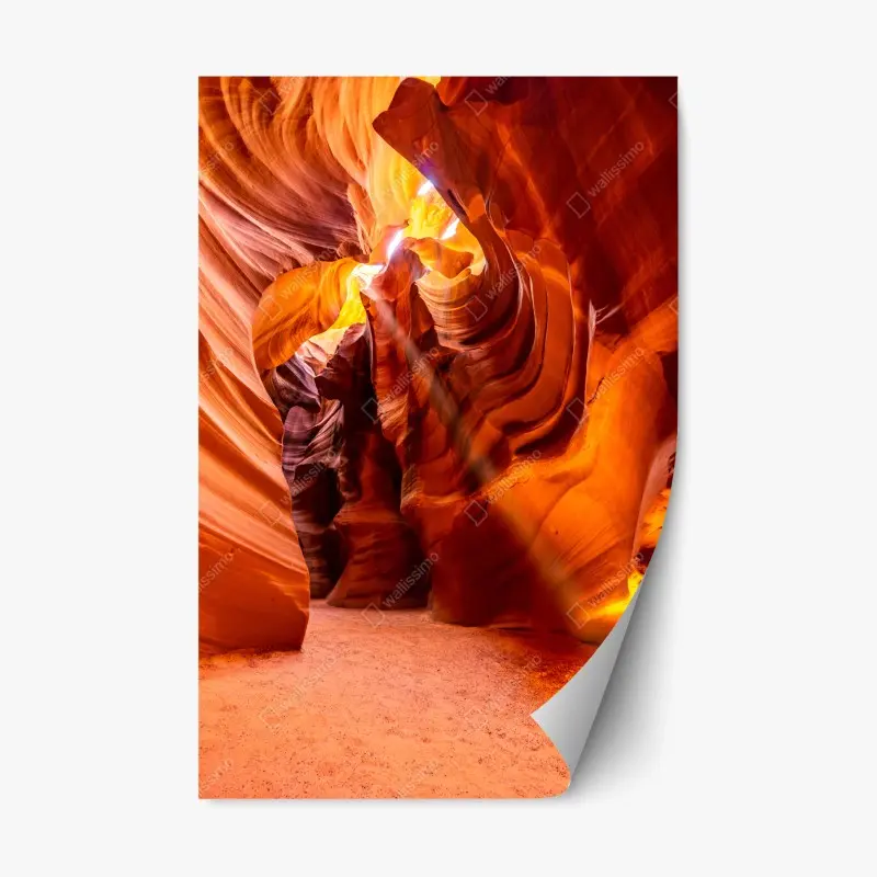 Wüste – Wallnifity®