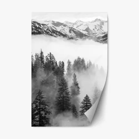 Repositionierbarer Aufkleber nebliger Giant Forest, Sequoia National Park – Wallnifity®