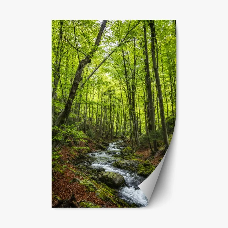 Wälder – Wallnifity®