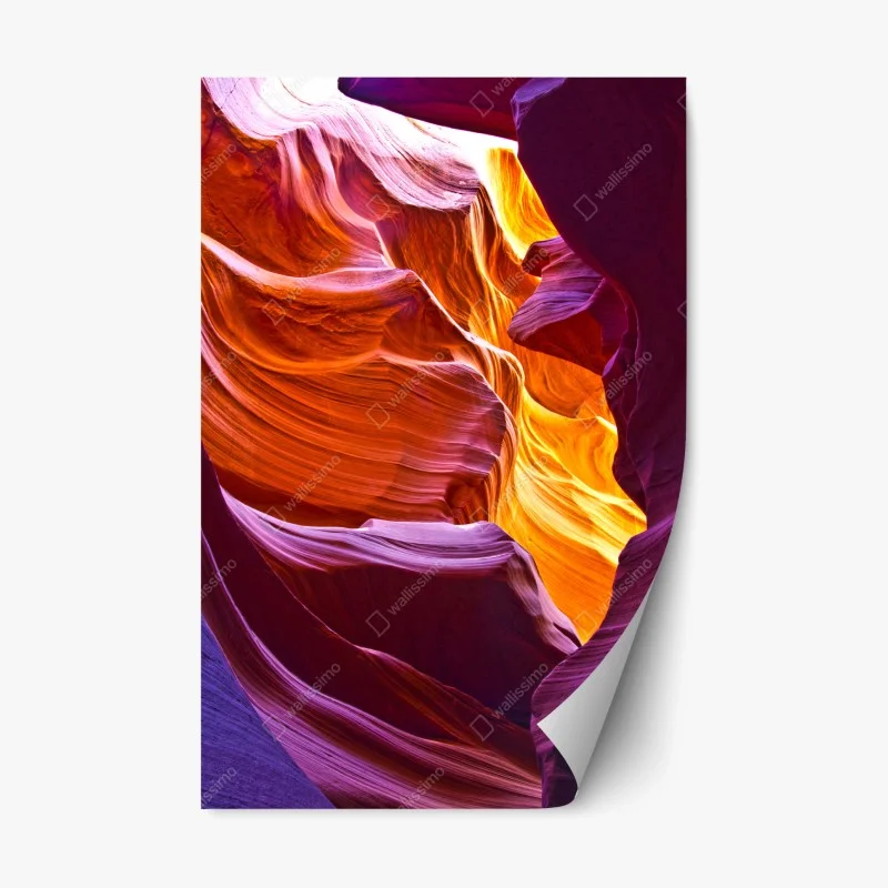 Wüste – Wallnifity®