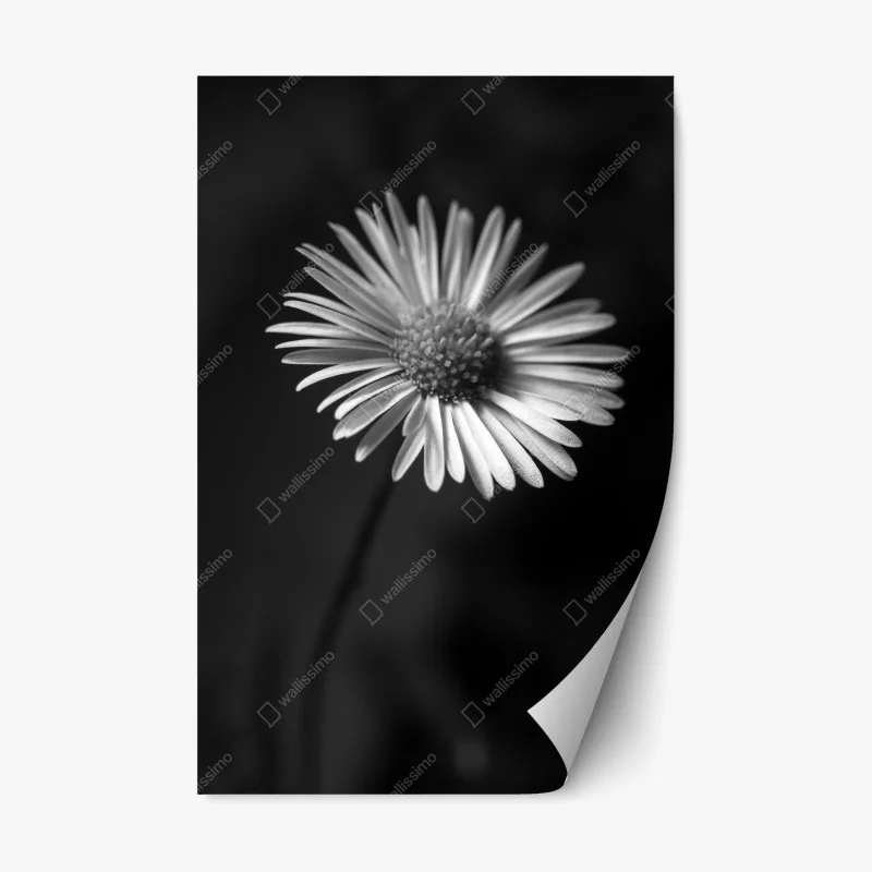 Schlafzimmer – Wallnifity®