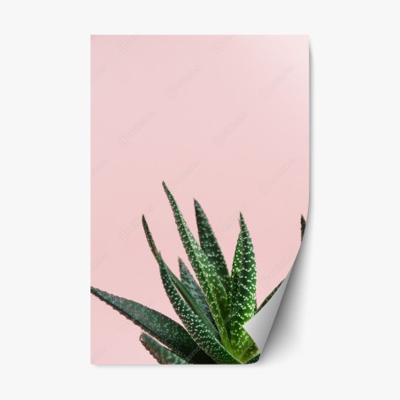 Repositionierbarer Aufkleber grüner aloes auf rosa hintergrund – Wallnifity®