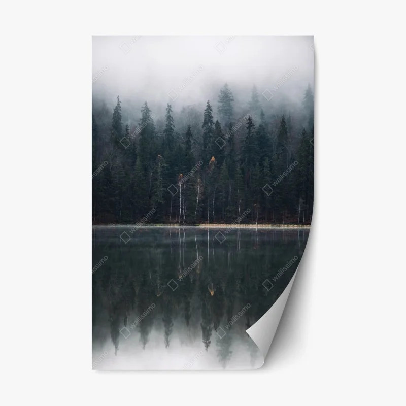 Repositionierbarer Aufkleber neblige waldreflexion – Wallnifity®