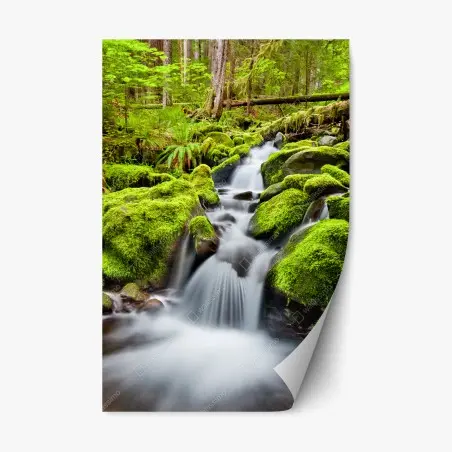 Repositionierbarer Aufkleber moosbedeckter bach bei Sol Duc Falls – Wallnifity®