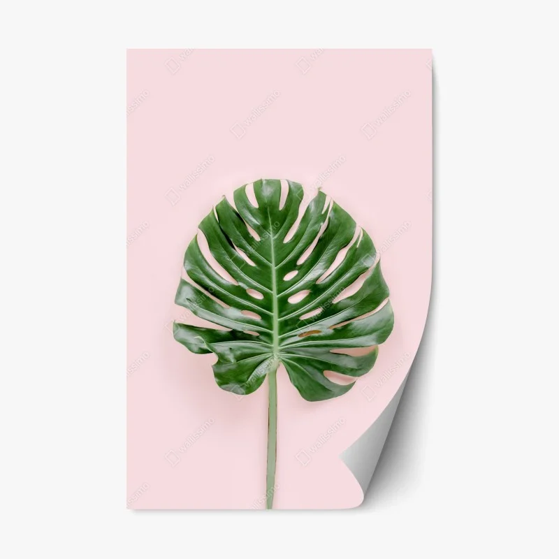 Repositionierbarer Aufkleber monstera-blatt auf pastell-rosa hintergrund