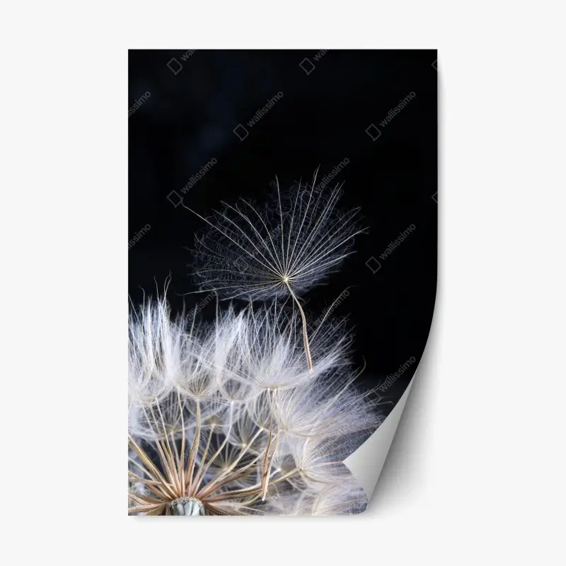 Blumen & Pflanzen – Wallnifity®