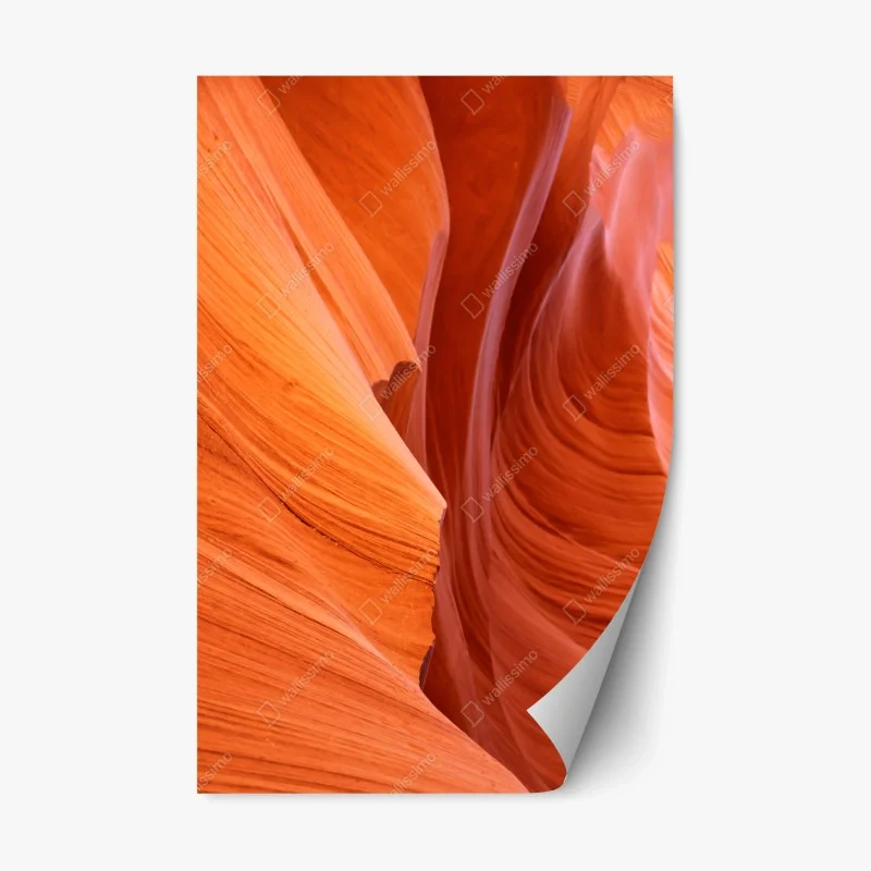 Wüste – Wallnifity®