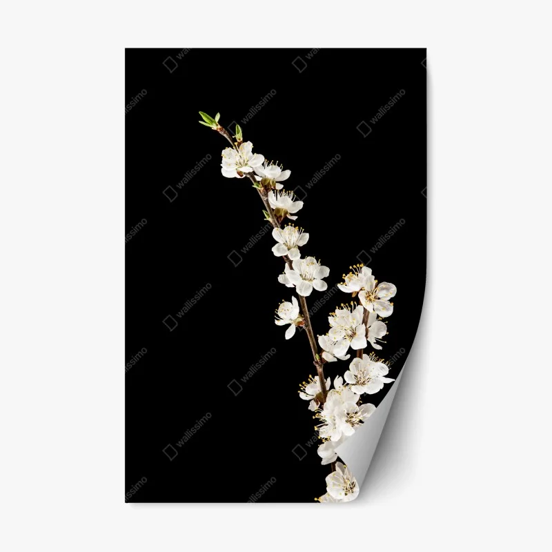 Schlafzimmer – Wallnifity®