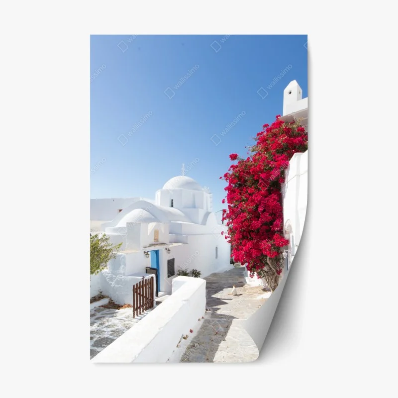 Urban Chic – Wallnifity®