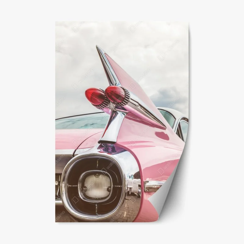 Fahrzeuge – Wallnifity®