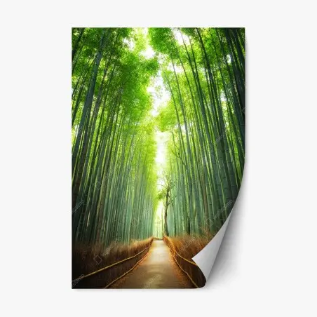 Repositionierbarer Aufkleber weg durch den bambushain von Arashiyama – Wallnifity®
