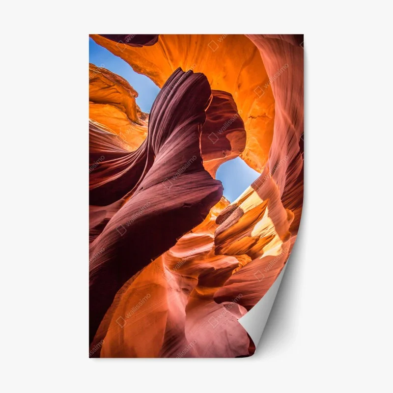 Wüste – Wallnifity®