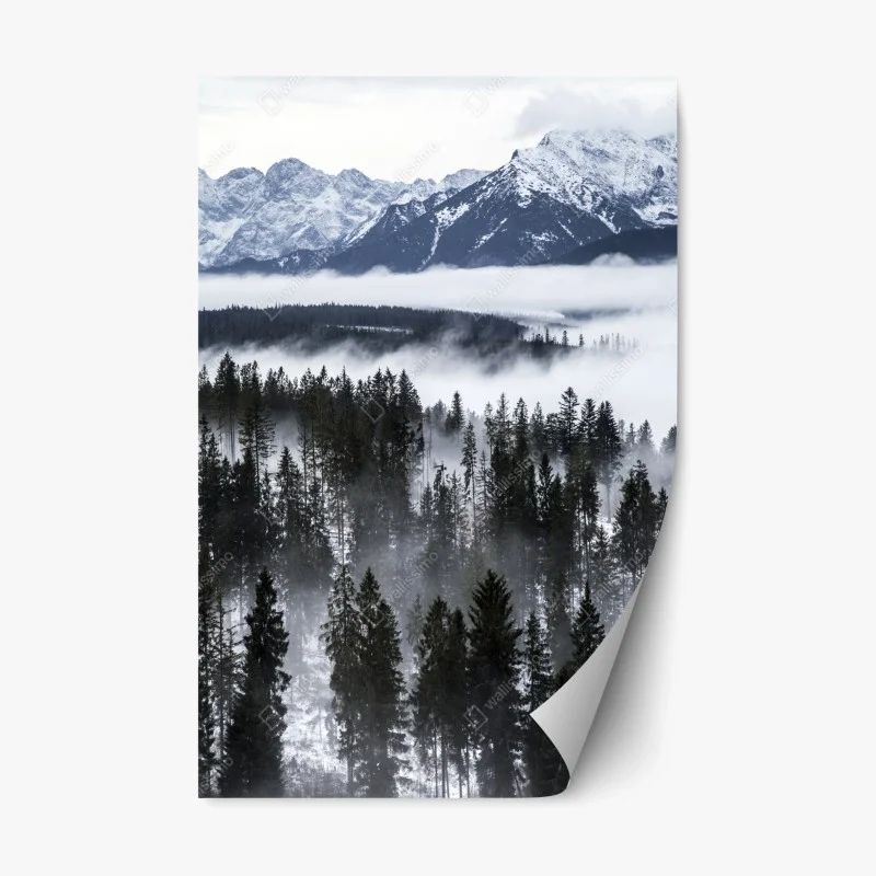 Berge – Wallnifity®