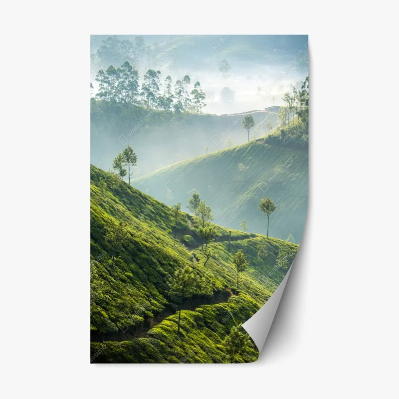 Berge – Wallnifity®