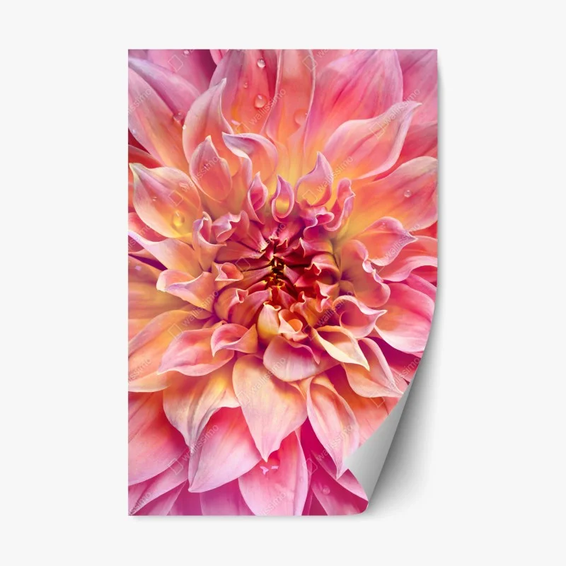 Boho – Wallnifity®