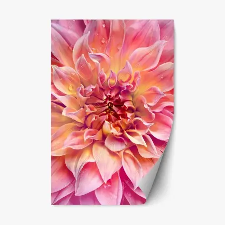Repositionierbarer Aufkleber rosa dahlie nahaufnahme – Wallnifity®