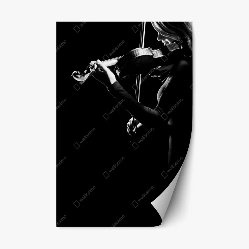 Kultur und Unterhaltung – Wallnifity®