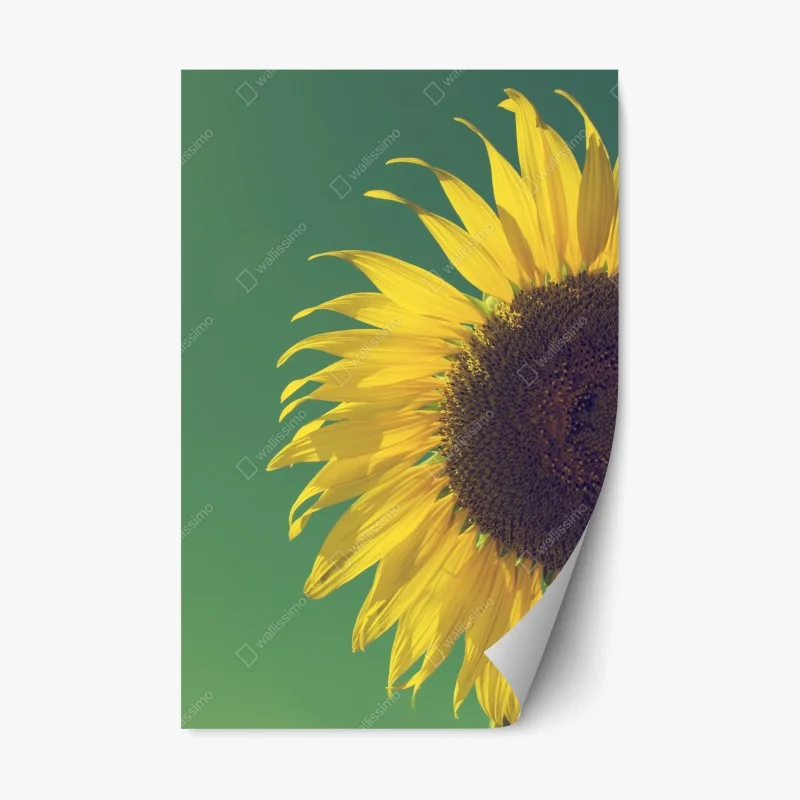 Repositionierbarer Aufkleber strahlende sonnenblume vor vintage-himmel