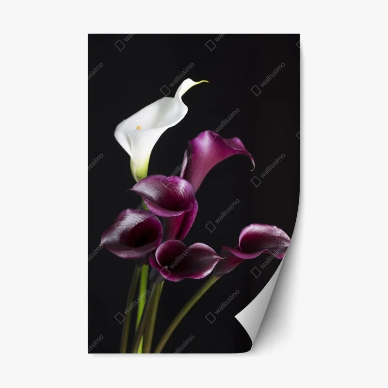 Repositionierbarer Aufkleber elegante violette und weiße callas – Wallnifity® Repositionierbarer Aufkleber elegante violette und weiße callas – Wallnifity®