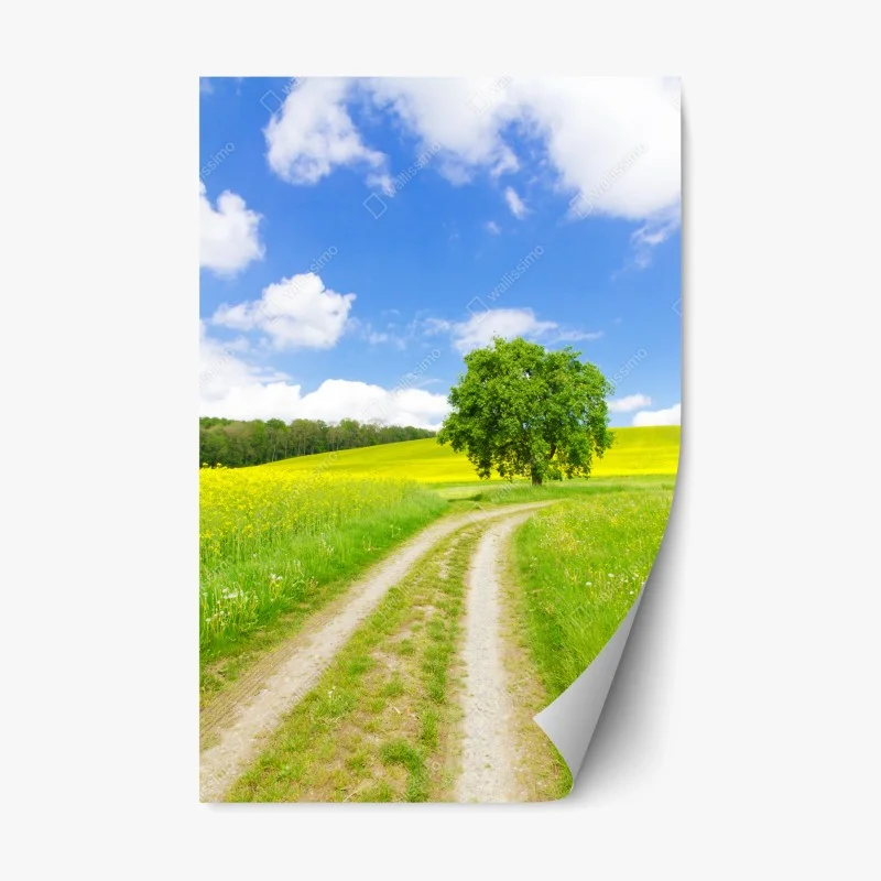 Natur – Wallnifity®