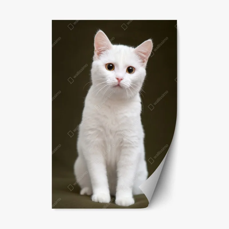 Tiere – Wallnifity®